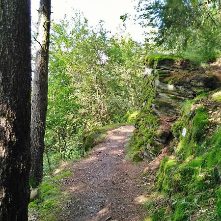 Fewo Well Leilighet Gladenbach Eksteriør bilde