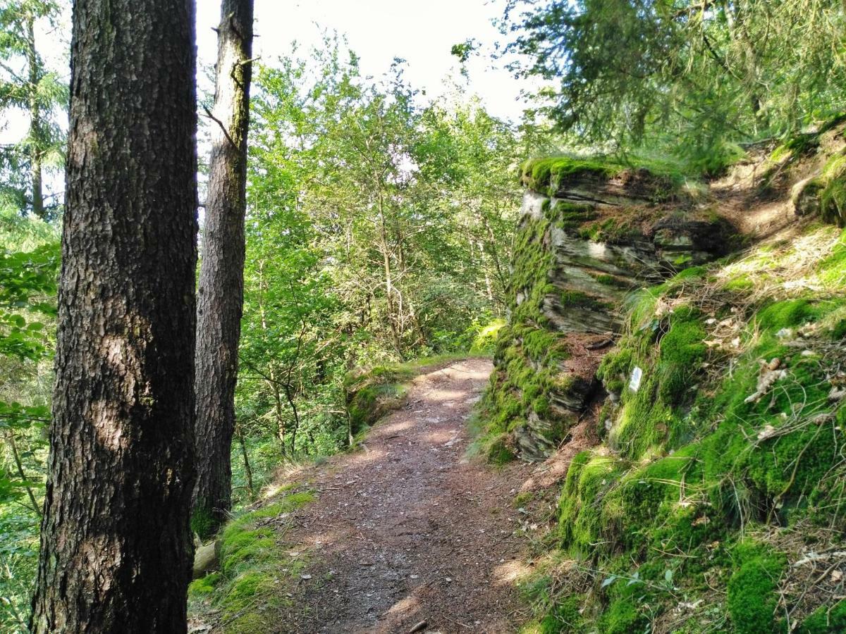 Fewo Well Leilighet Gladenbach Eksteriør bilde