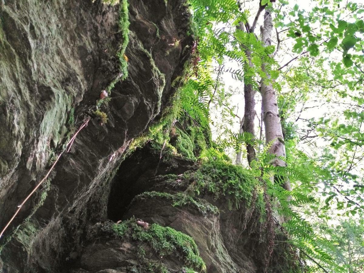 Fewo Well Leilighet Gladenbach Eksteriør bilde