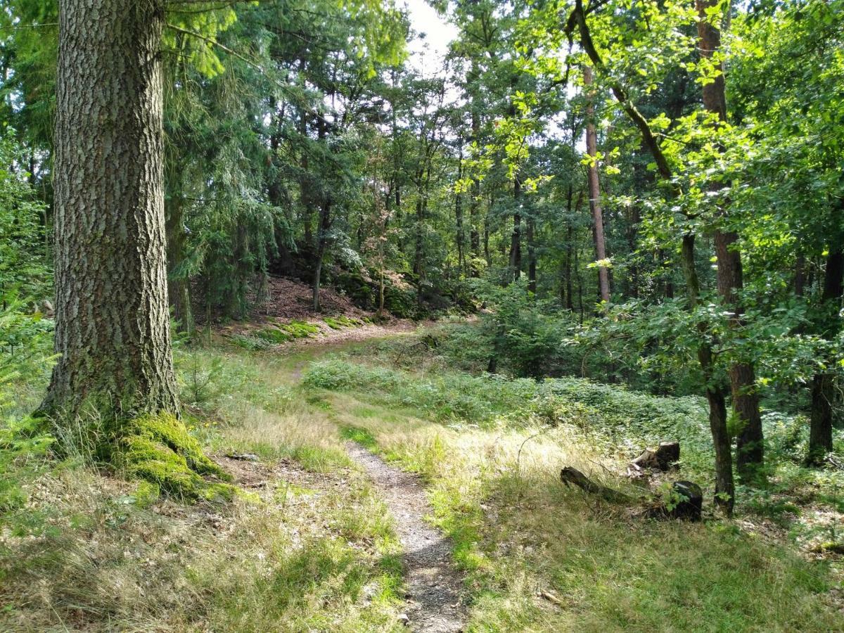 Fewo Well Leilighet Gladenbach Eksteriør bilde