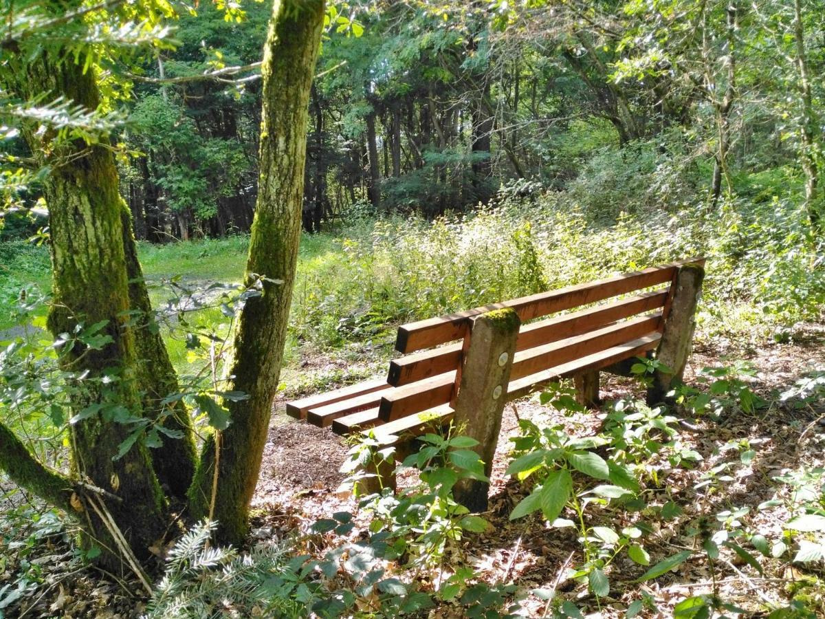 Fewo Well Leilighet Gladenbach Eksteriør bilde