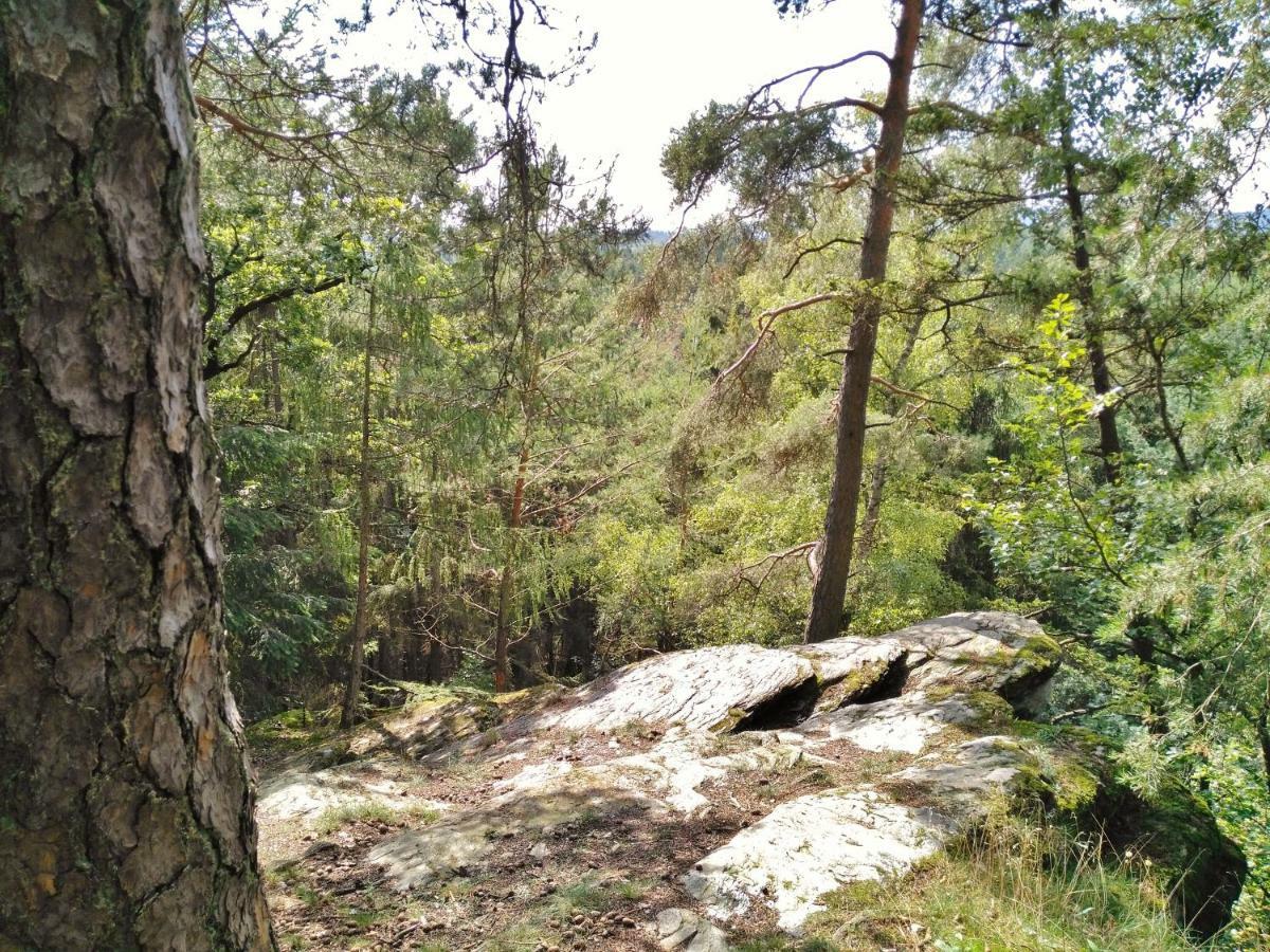 Fewo Well Leilighet Gladenbach Eksteriør bilde