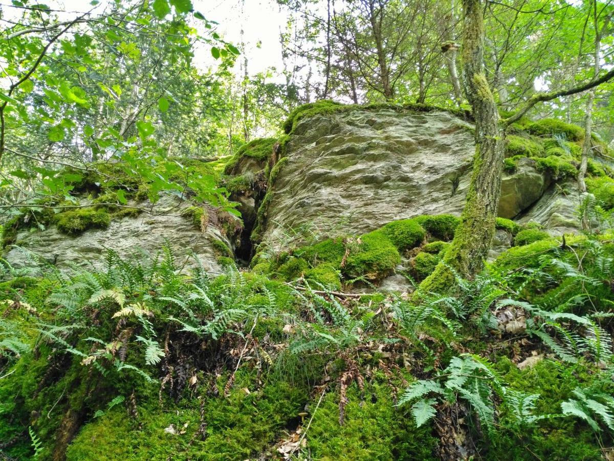 Fewo Well Leilighet Gladenbach Eksteriør bilde