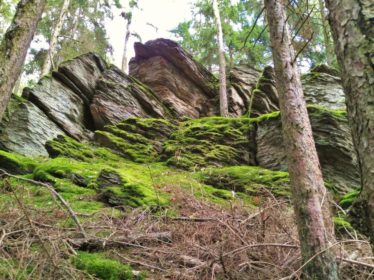 Fewo Well Leilighet Gladenbach Eksteriør bilde